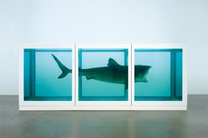 feature_HIRST 48__01__630x420